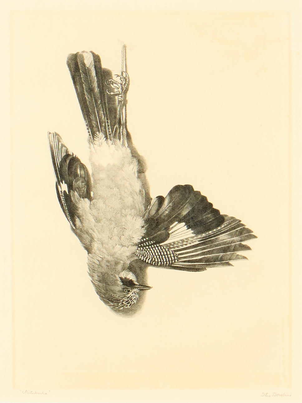 STIG BORGLIND. “Nutcracker”, 1935.