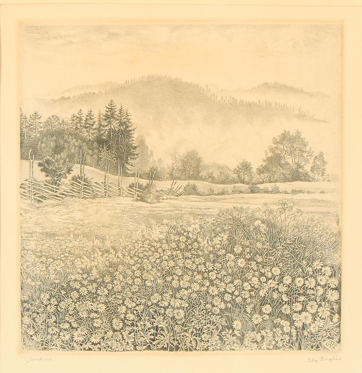 STIG BORGLIND. “June Tonight”.