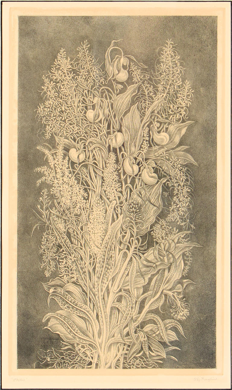 STIG BORGLIND. “Orchis”, 1948.