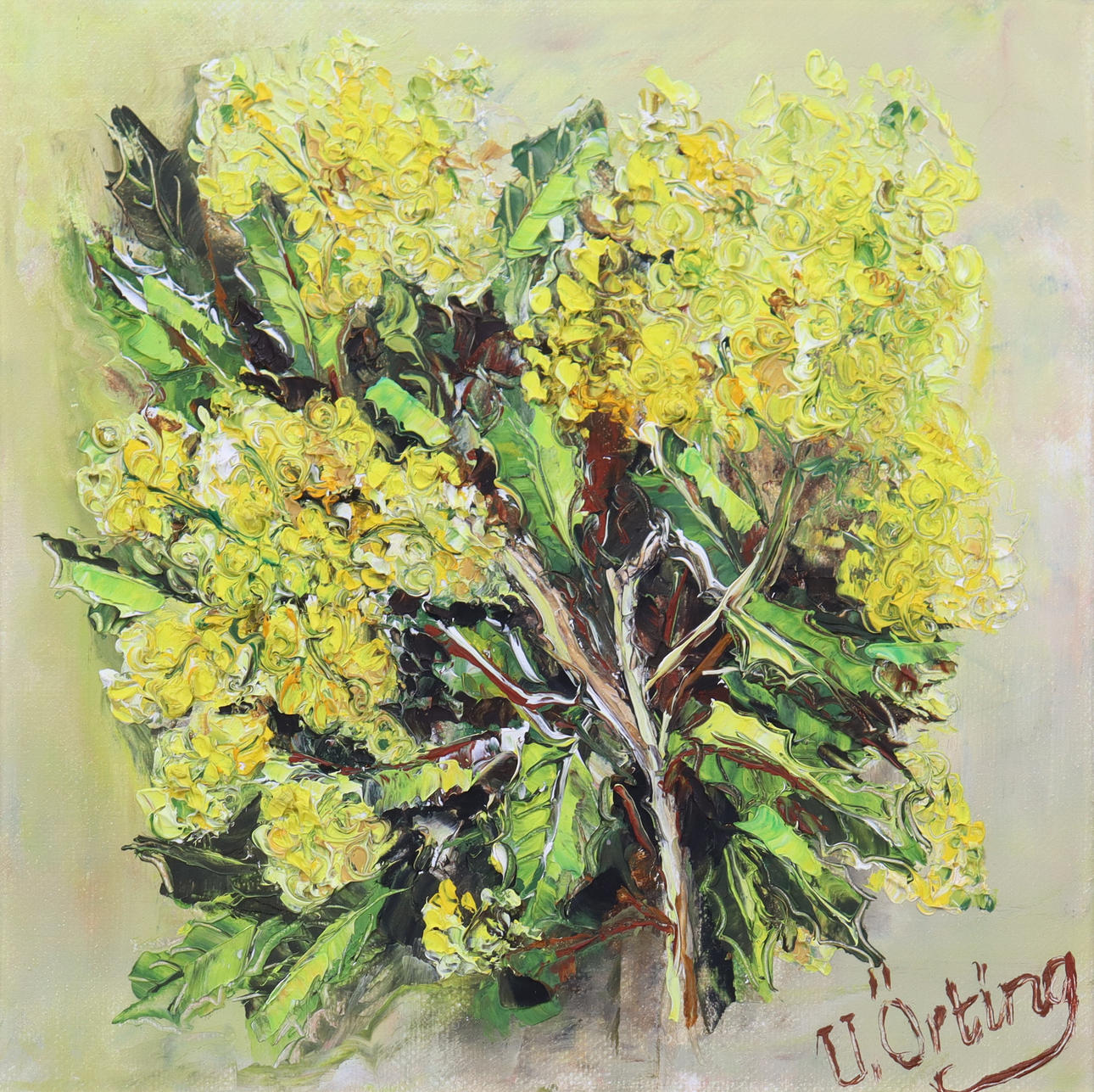 ULLA ÖRTING. olja på duk, "Mahonia i blom".