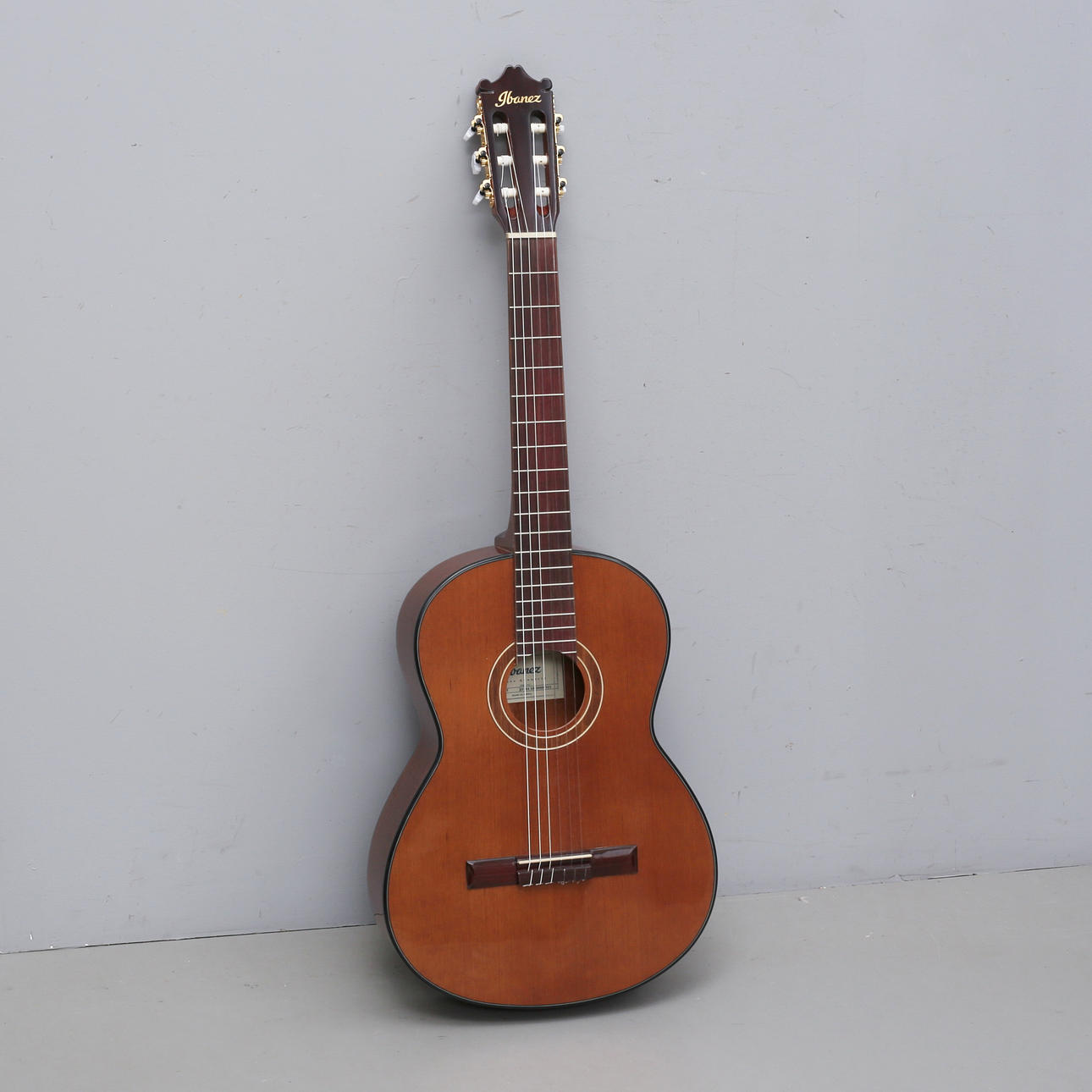 GUITAR, acoustic, Ibanez.