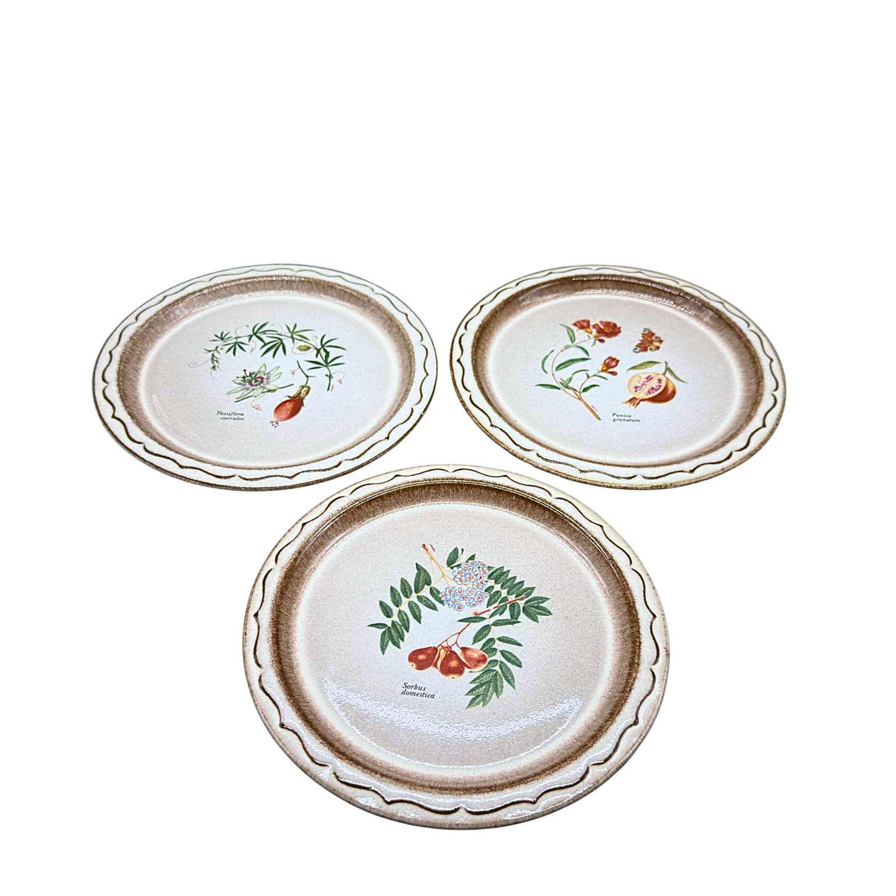 THREE CERAMIC WALL PLATES WITH VARIOUS PLANTS AND LATIN SCRIPT.