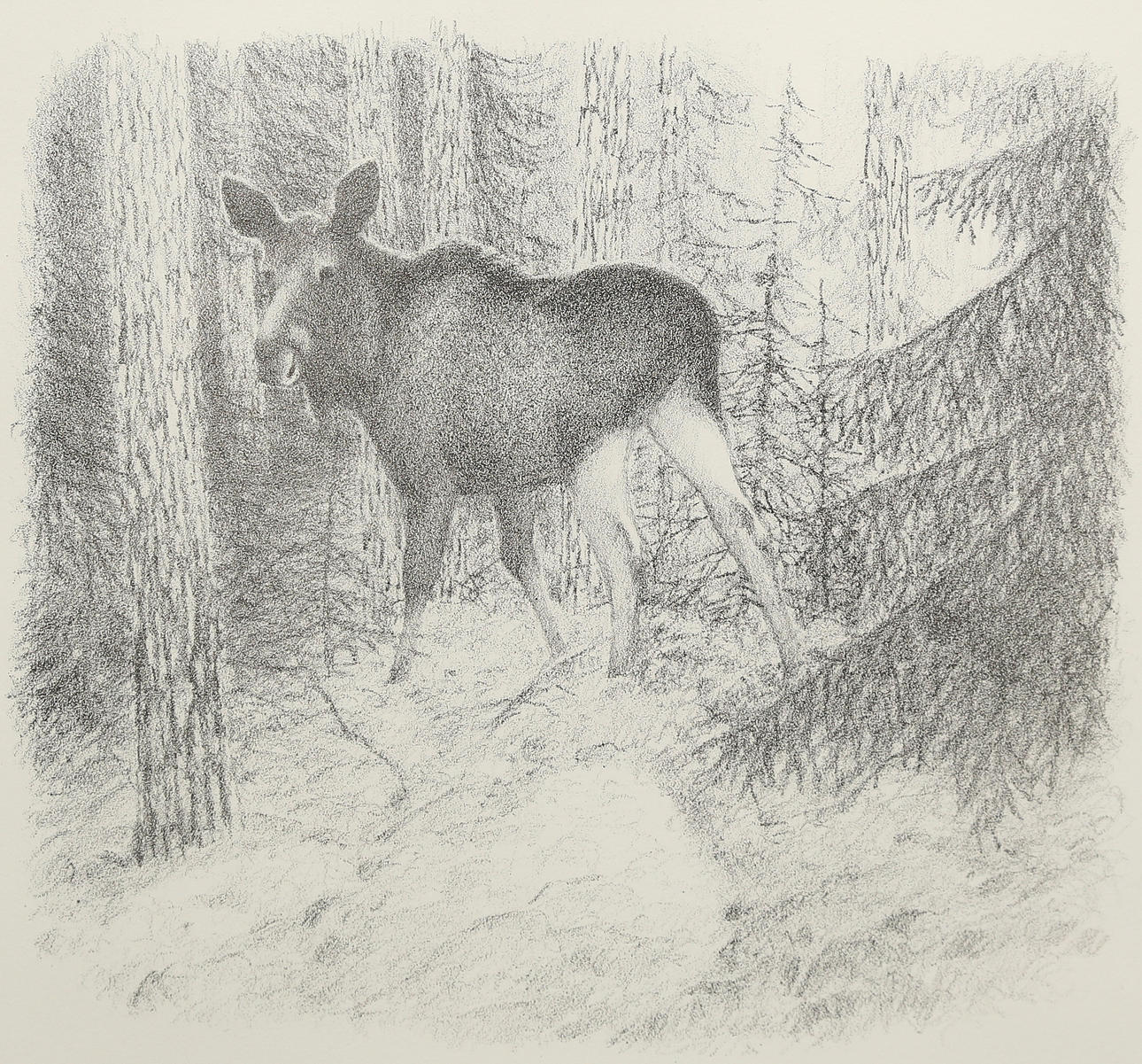 LENNART SAND. Stentryck, signerad, provtryck.