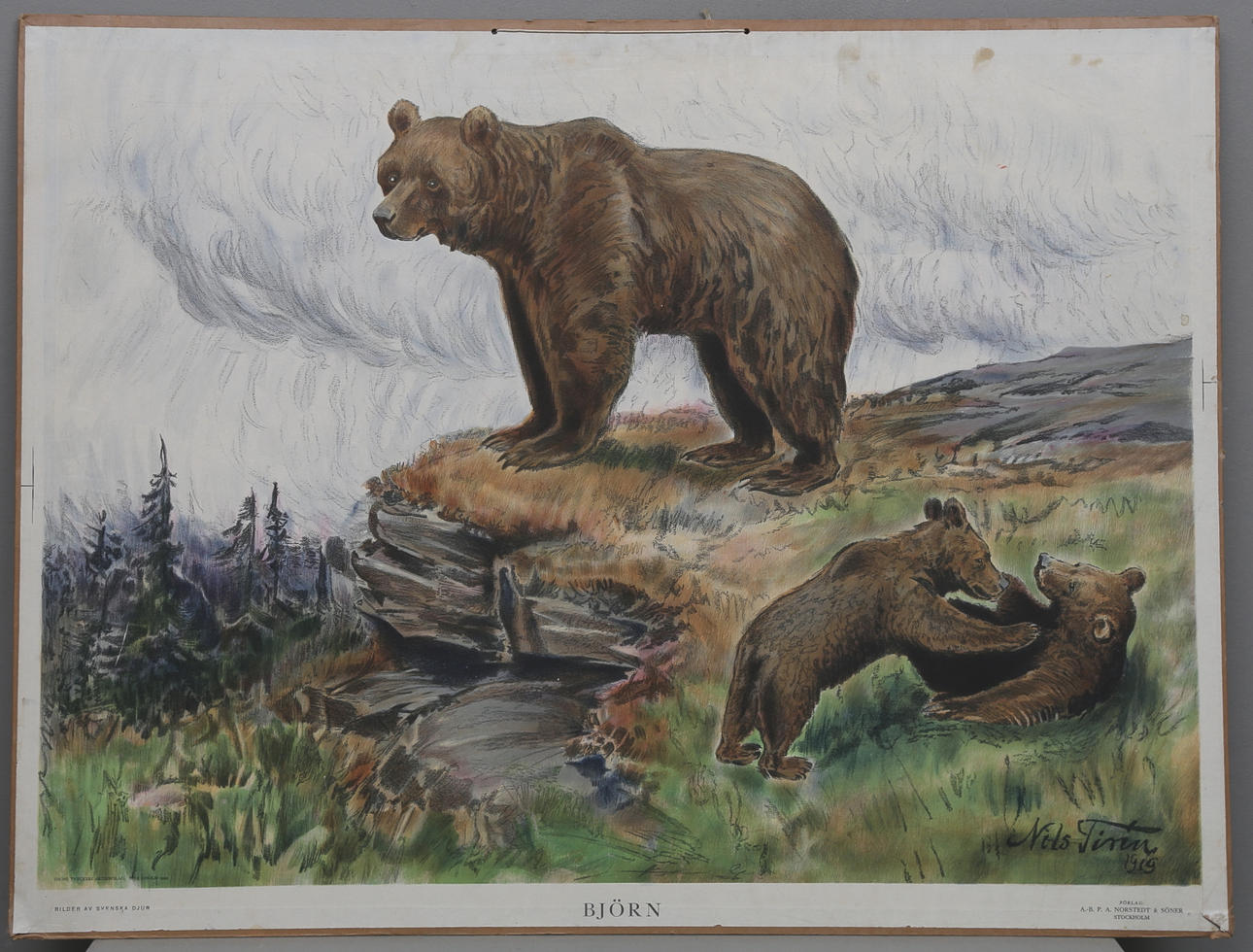 SKOLPLANSCH med motiv efter Nils Tirén, Norstedt & Söner, 1900-talets första hälft.