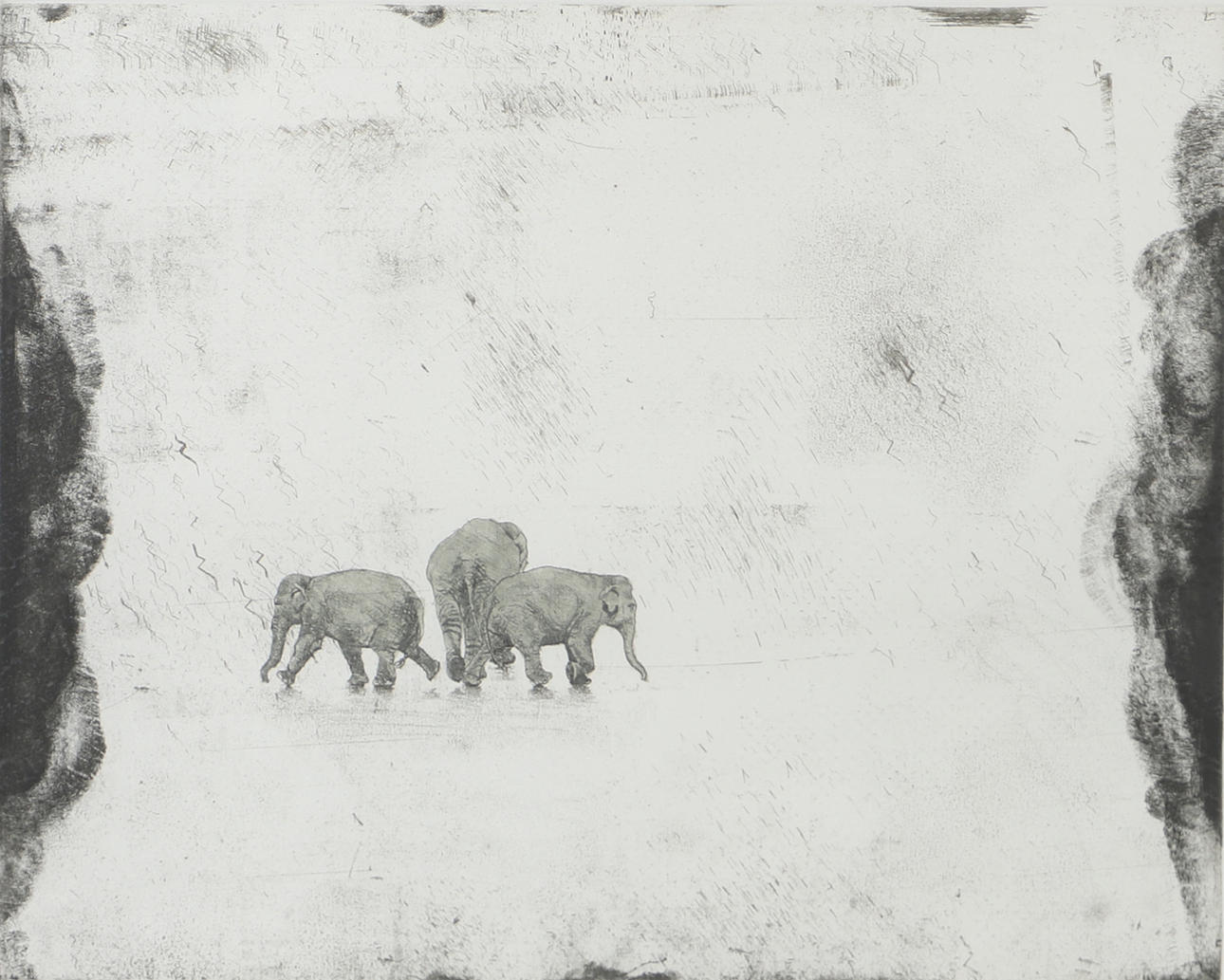 JAN DAHLGREN. "Elephant talk", etsning, signerad.