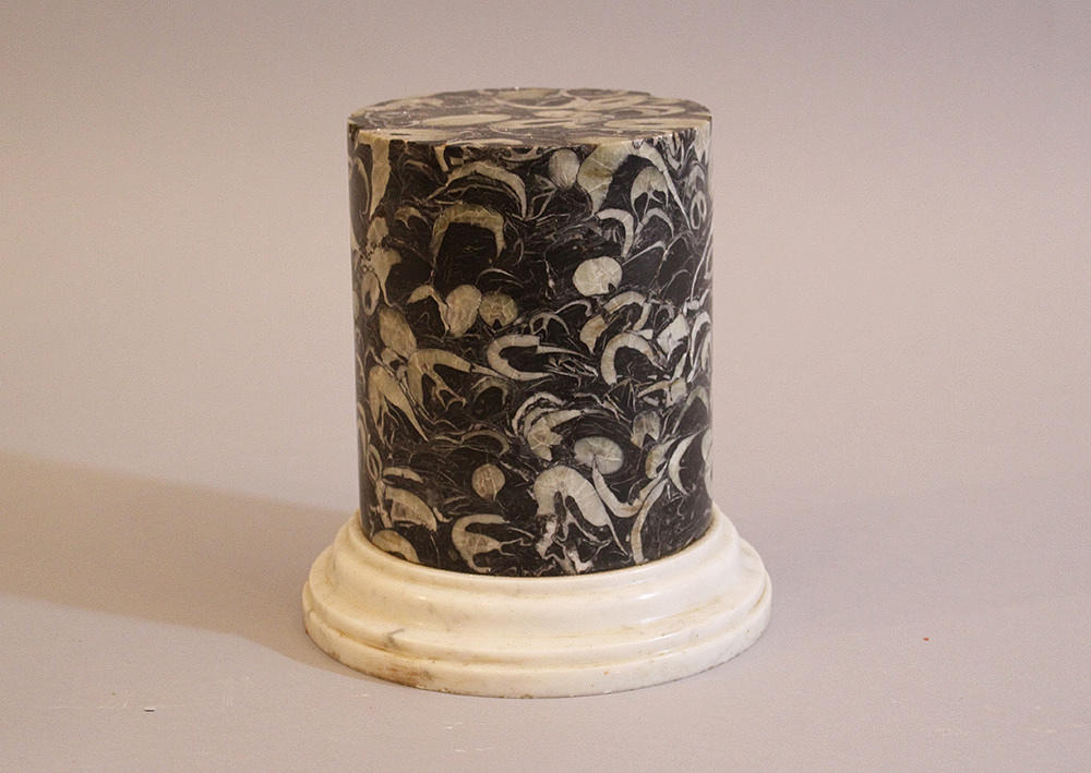 MARMOR KOLUMN BAS MED FOSSILER.