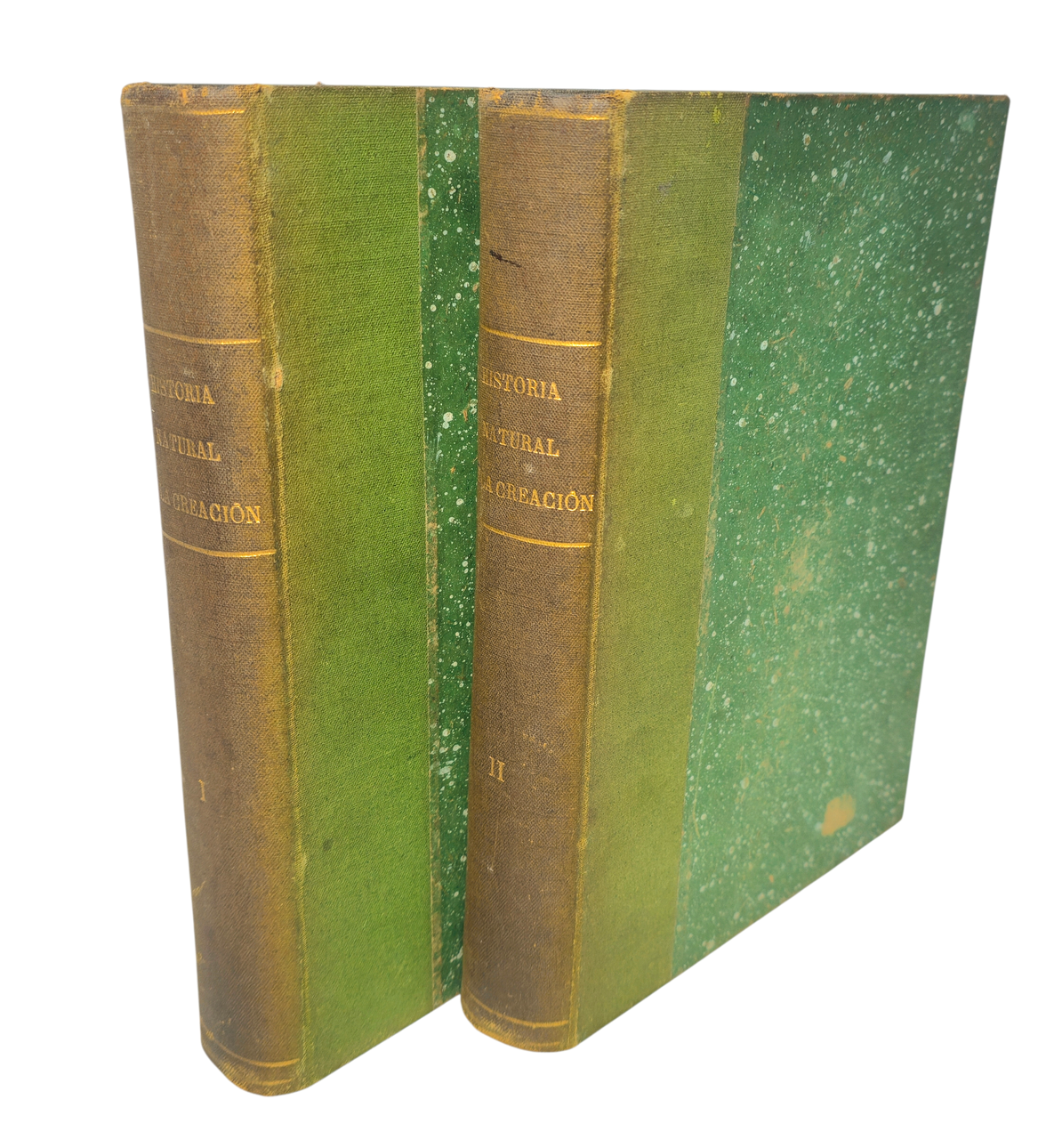 Book collection. Natural History of Creation. Volume I and II. Books ...