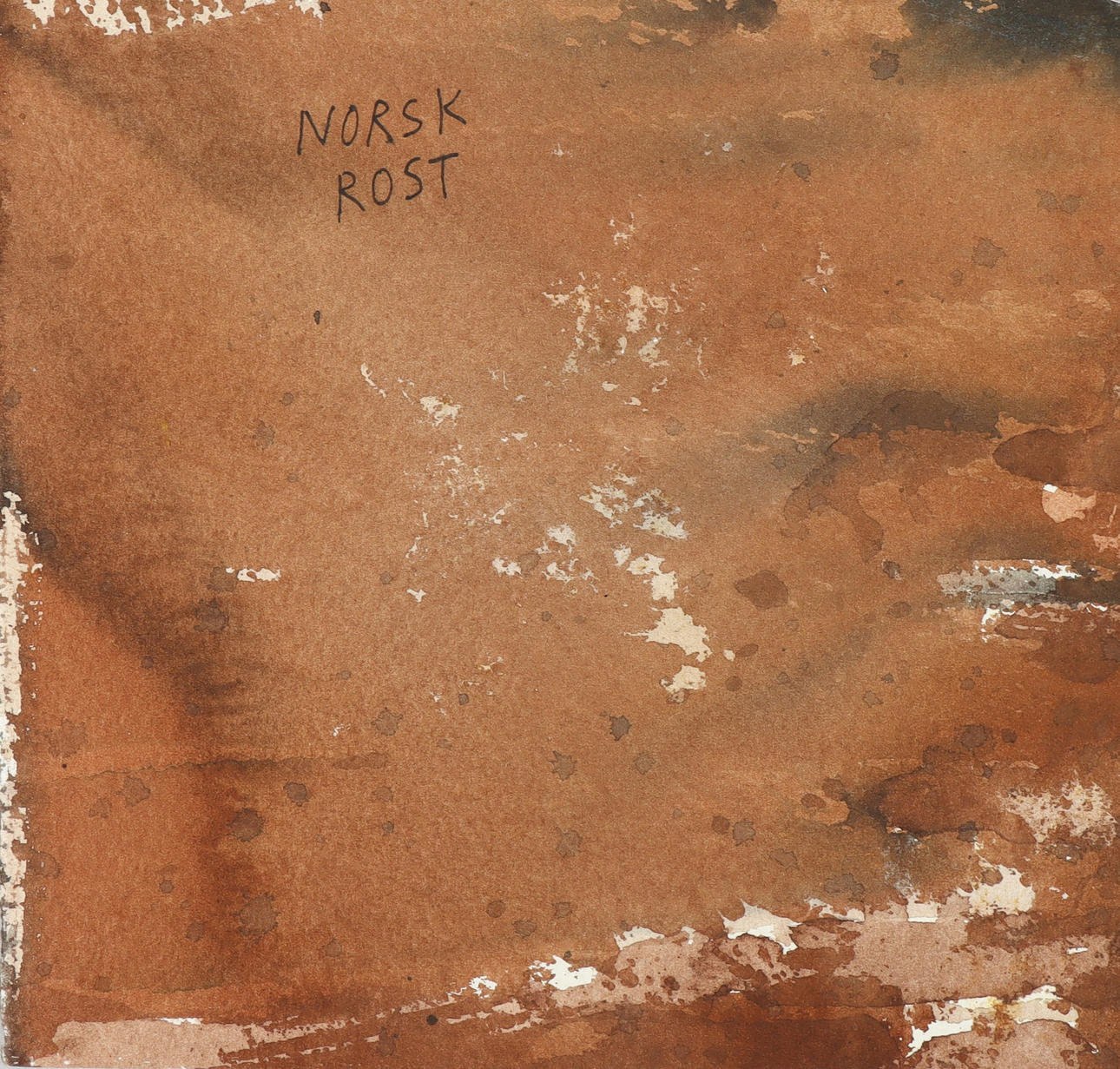 LARS LERIN. “NORWEGIAN PRAISED”.