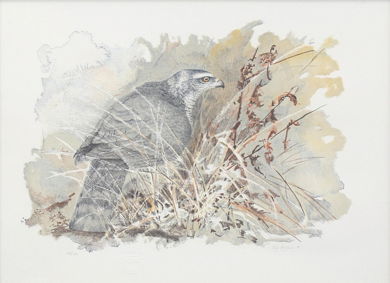 LEIF LILJEBLAD. Lithograph, “Duvhök”, signed, dated -96, numbered 108/360.