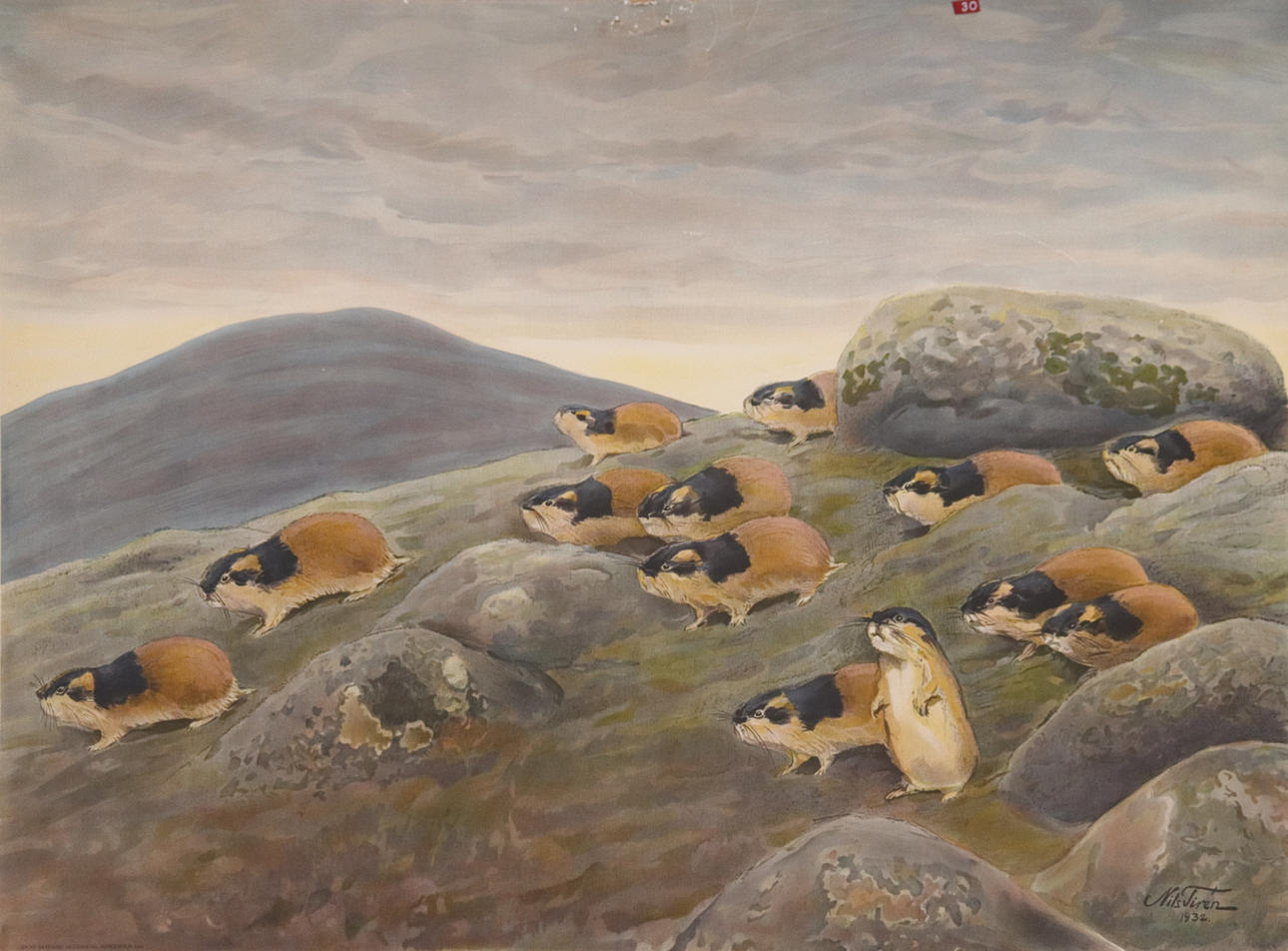 NILS TIRÉN. school plan, mountain beams, 1930s.