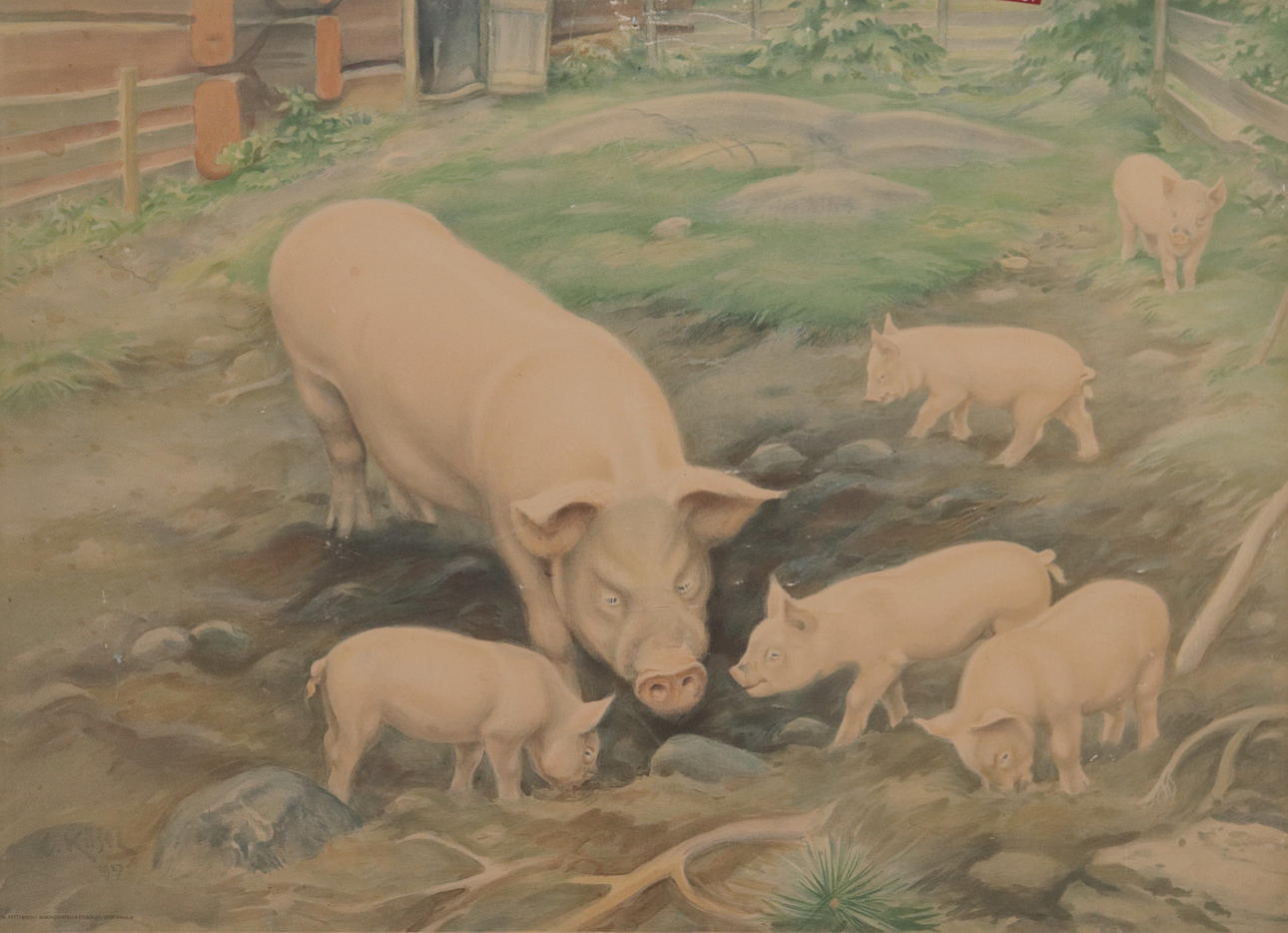 A pig/pig school plan, 1930s.