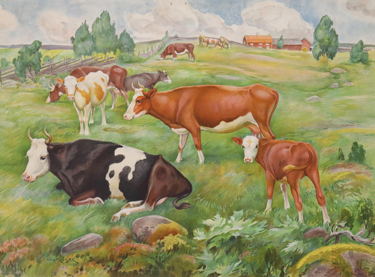 A cow school plan, 1930s.