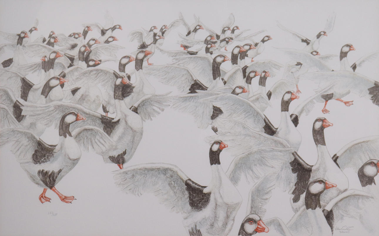 HASSE ANDERSSON. lithograph, “Gåsaloppet”.