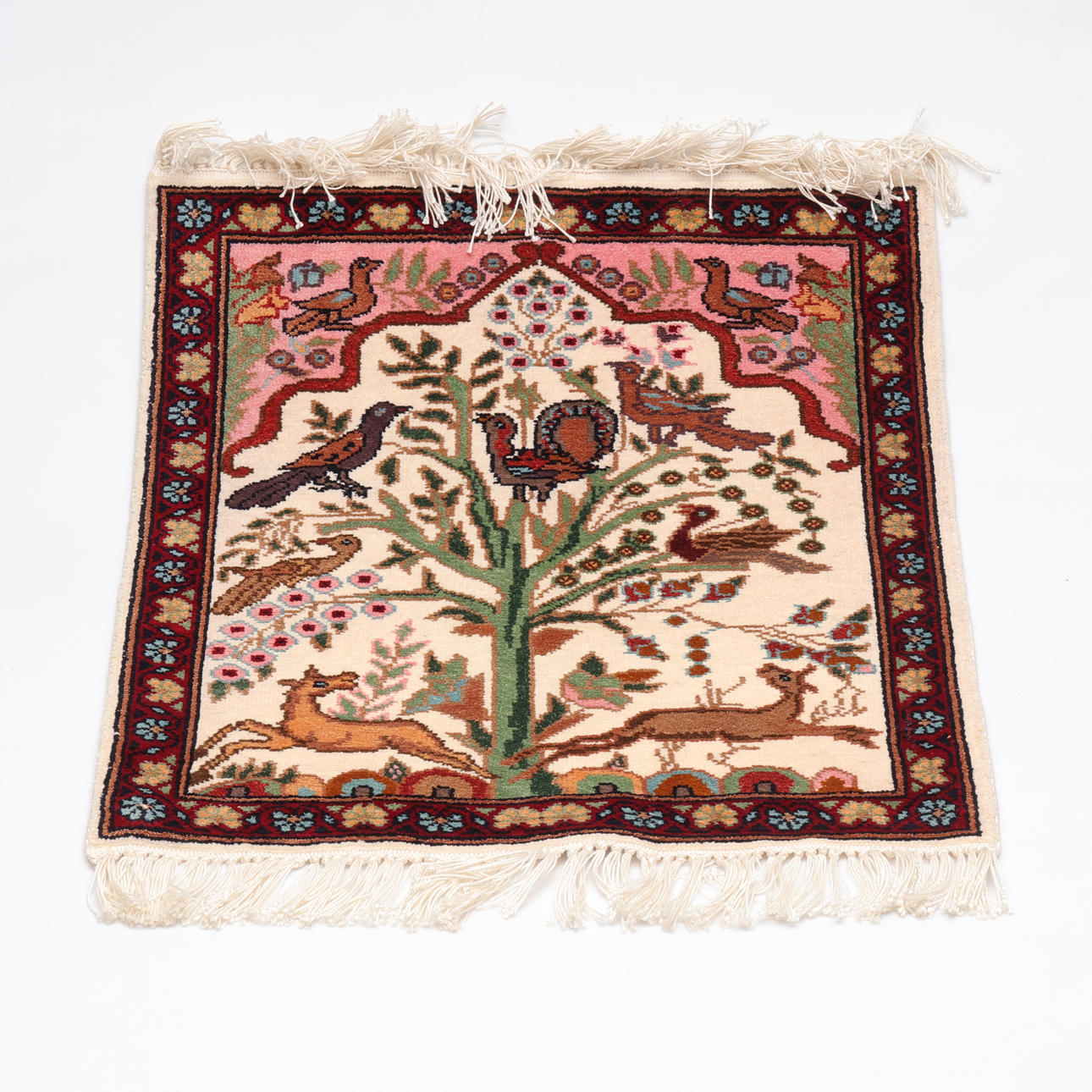 CARPET, Tunisia, 2001.