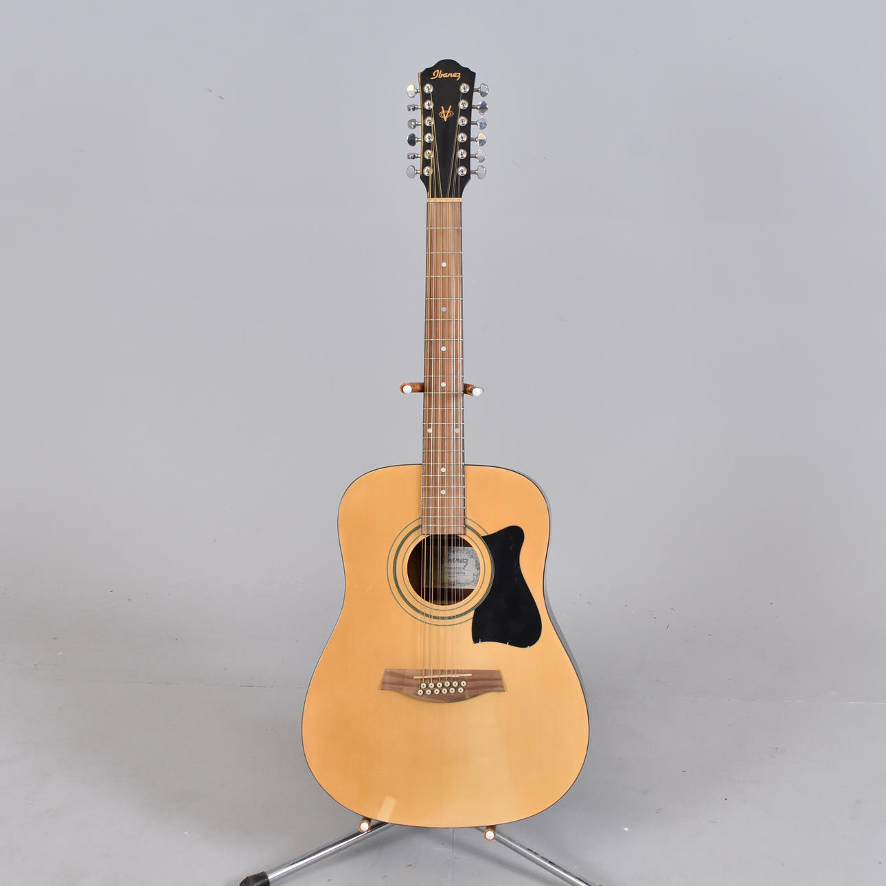 Ibanez 12-string guitar.