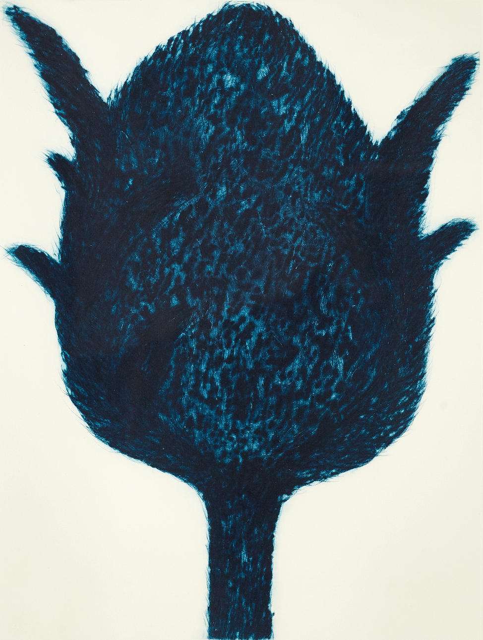 BARBRO ANDERSSON (F. 1948). Thistle, signed, dry needle.