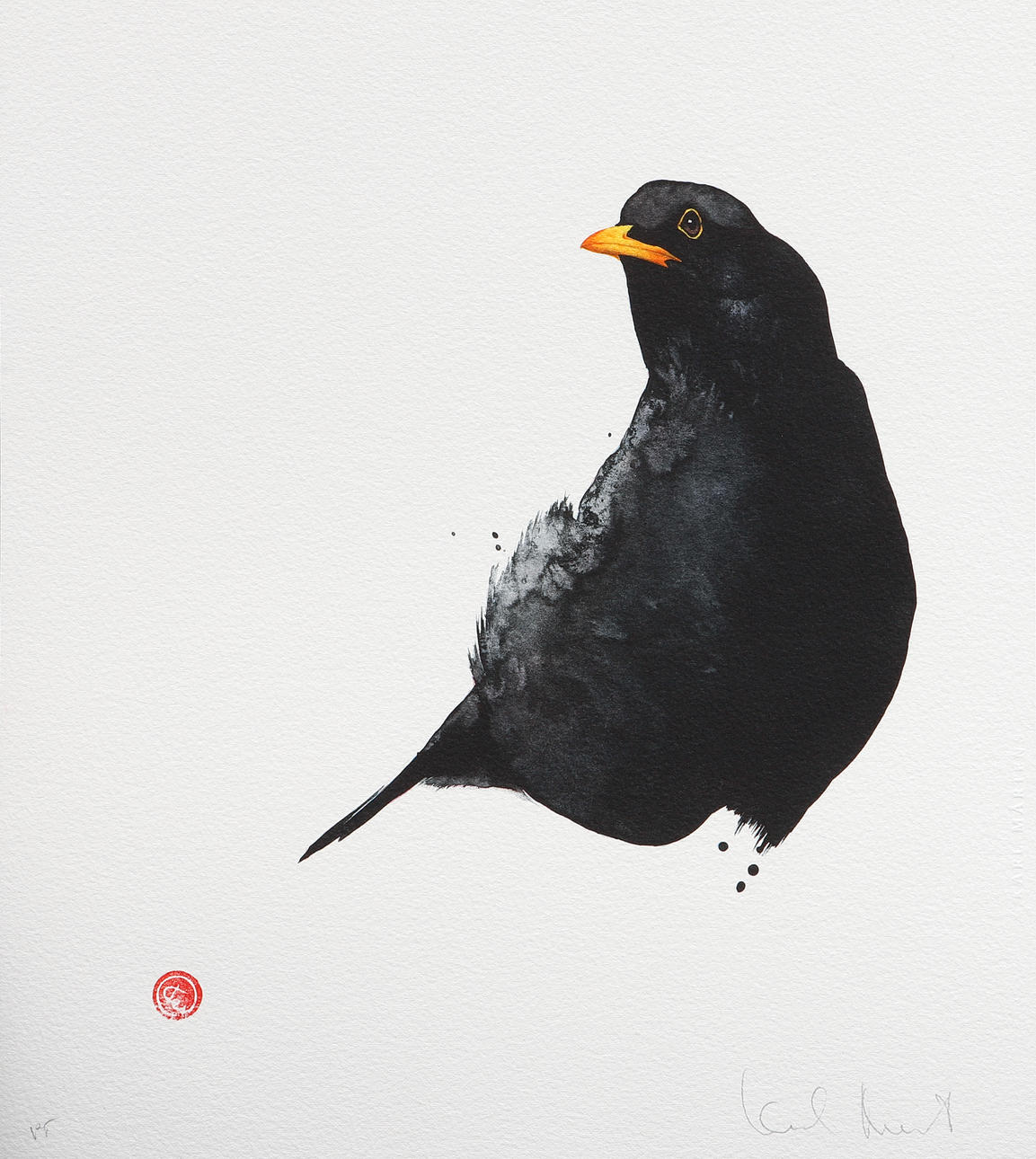 KARL MÅRTENS. Blackbird, lithograph in colours, signed, sample print.