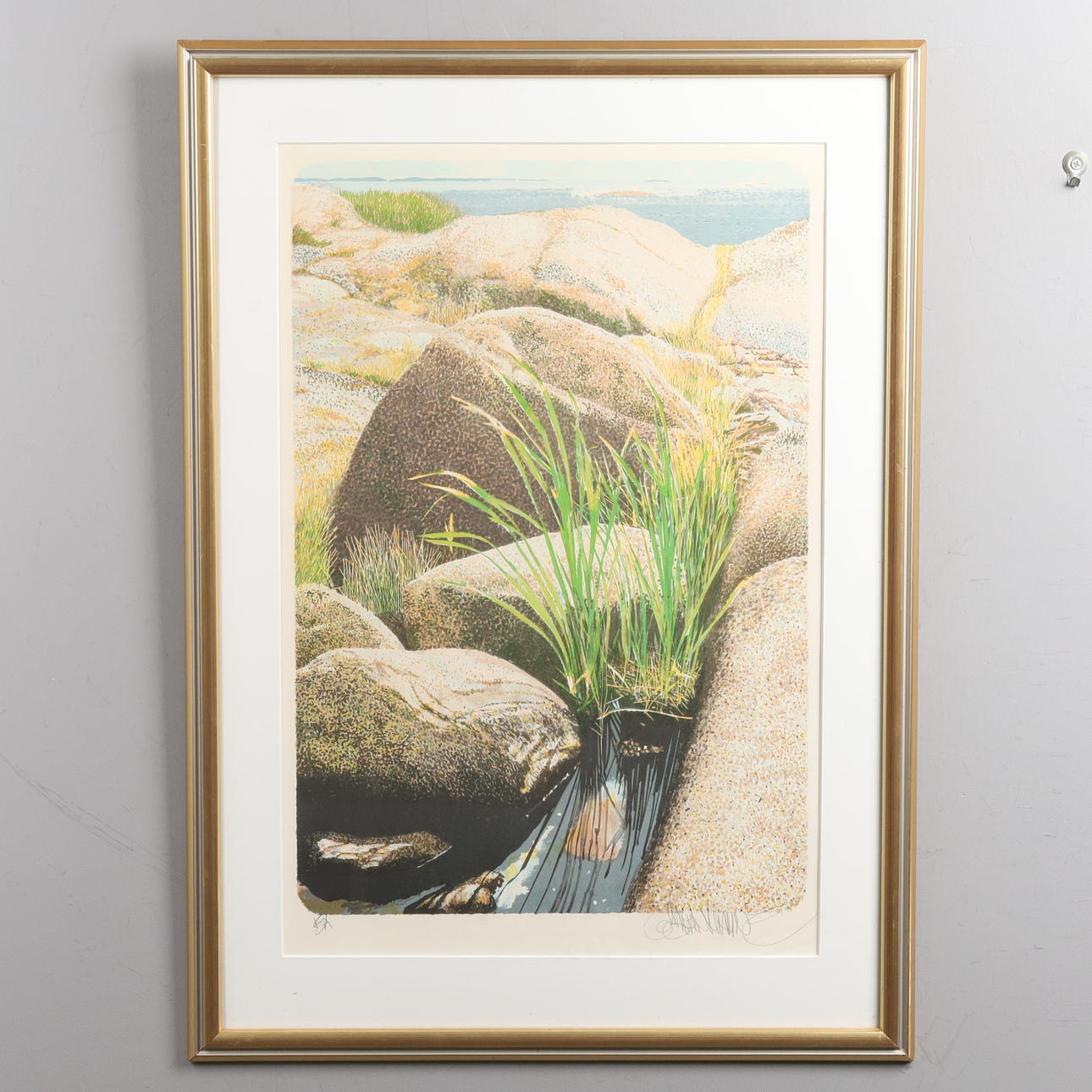 GÖRAN HAHNE. LITHOGRAPH IN COLOURS, “Vassrugg” signed, EA.