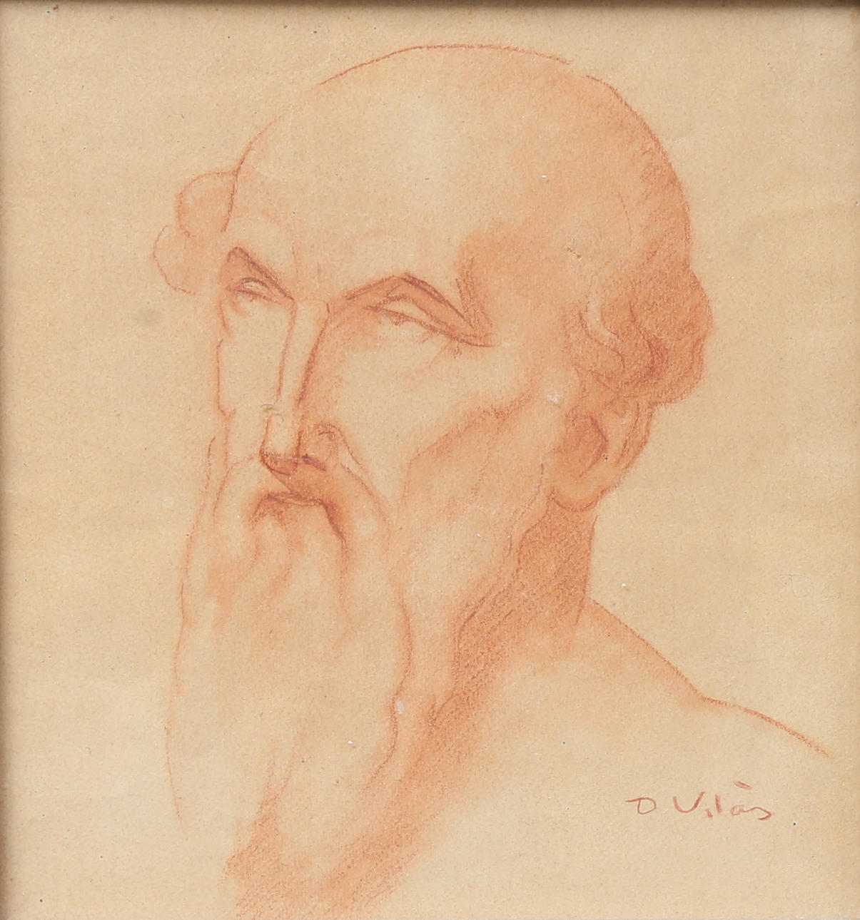 DARIUS VILÀS I FERNÀNDEZ. Face.