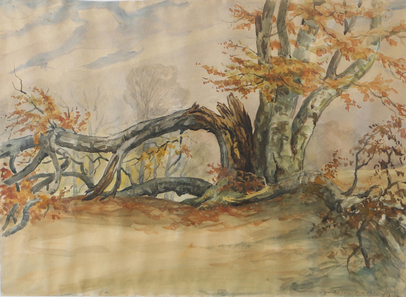 OKÄND KONSTNÄR. Dyrehaven, watercolour, unsigned.