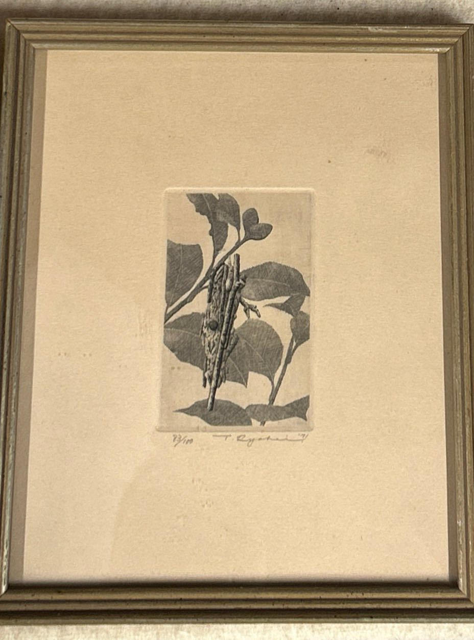 A FRAMED ETCHING OF A STICK INSECT.