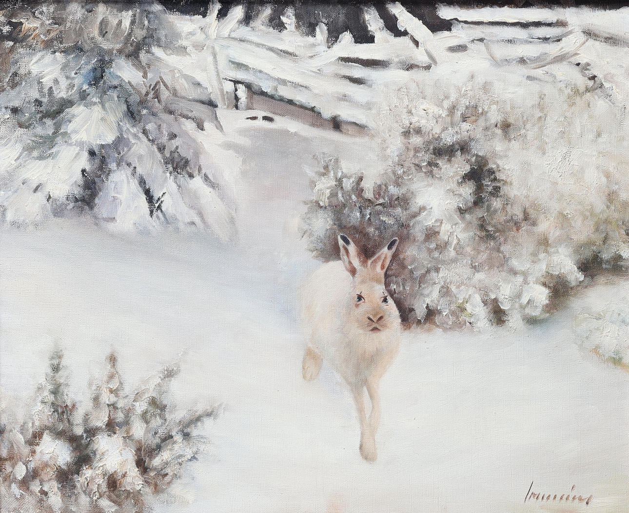 OIDENTIFIERAD KONSTNÄR. Oil on canvas, winter hare, signed.