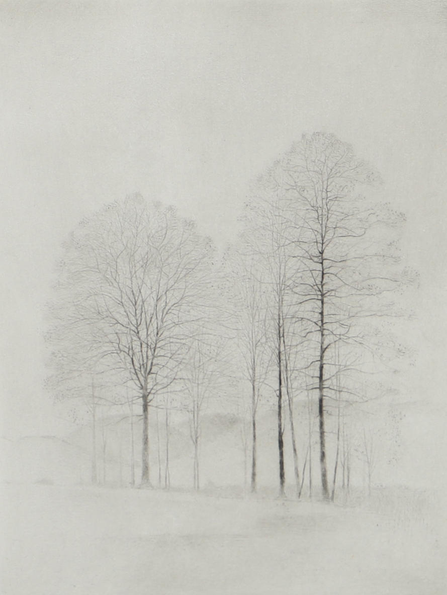 GUNNAR NORRMAN. “Backlandskap”, dry needle, signed 1979.