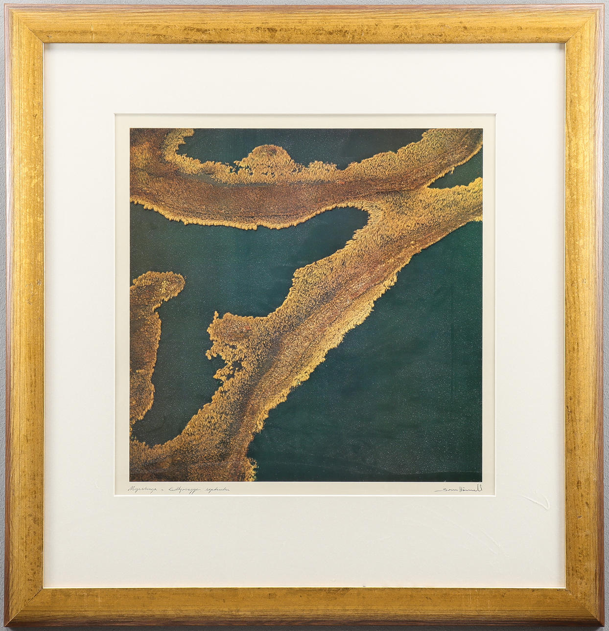 SVEN HÖRNELL. Offset print, signed.