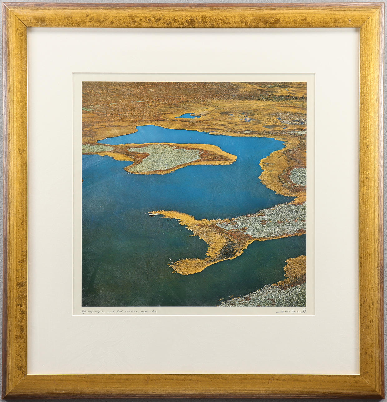 SVEN HÖRNELL. Offset print, signed.