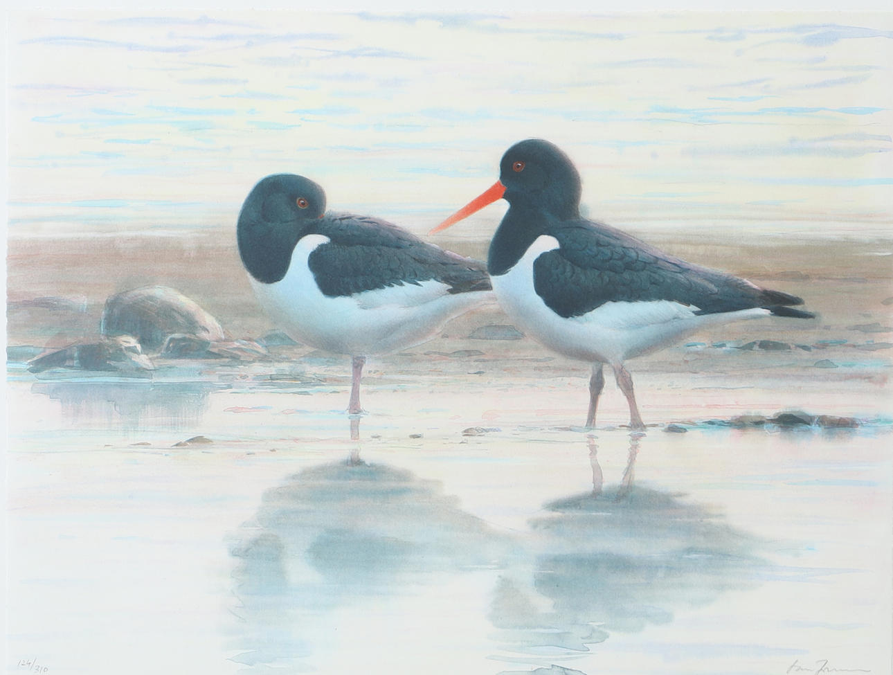 LARS JONSSON. Wading birds, lithograph in colours, signed.