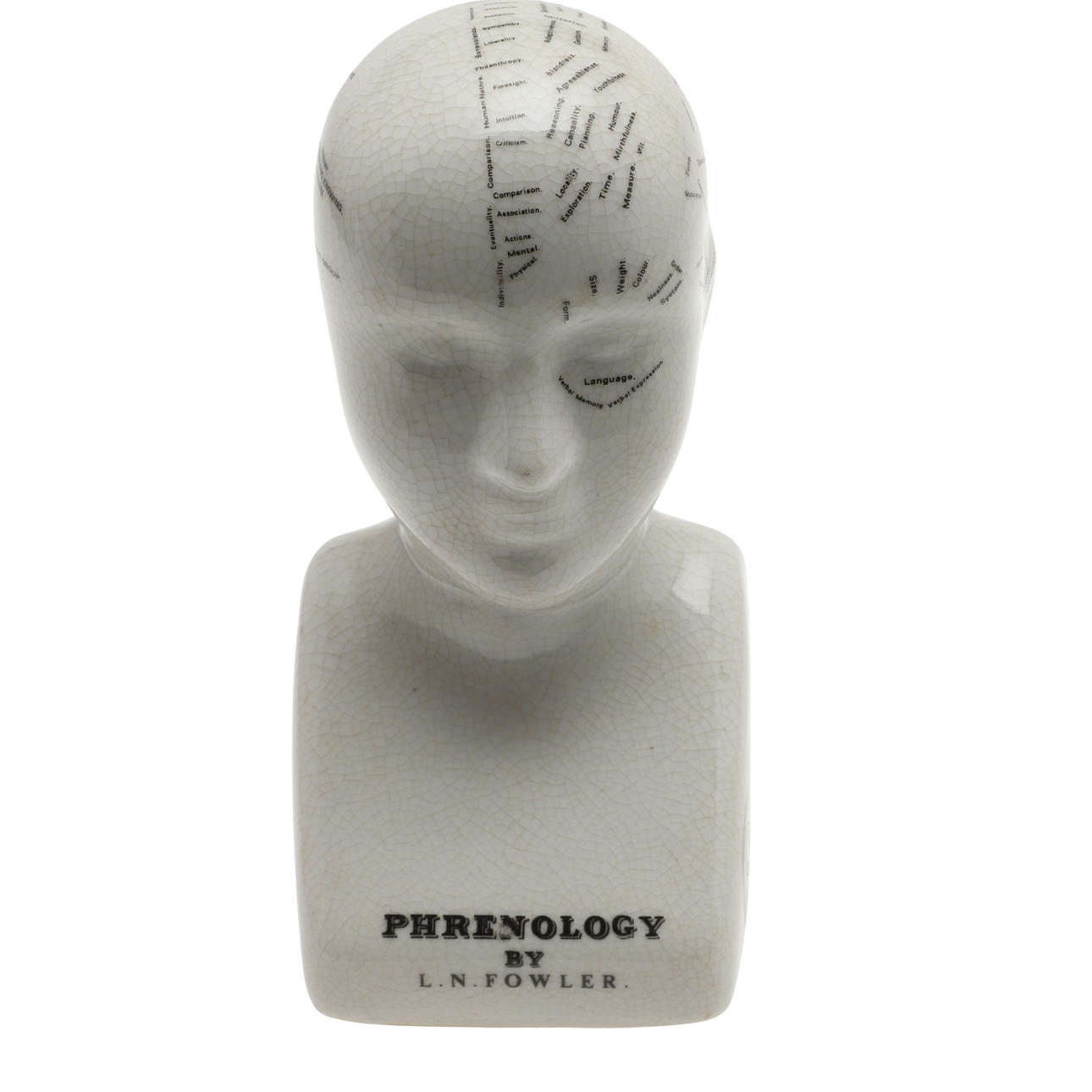 AN L. N. FOWLER PHRENOLOGY.