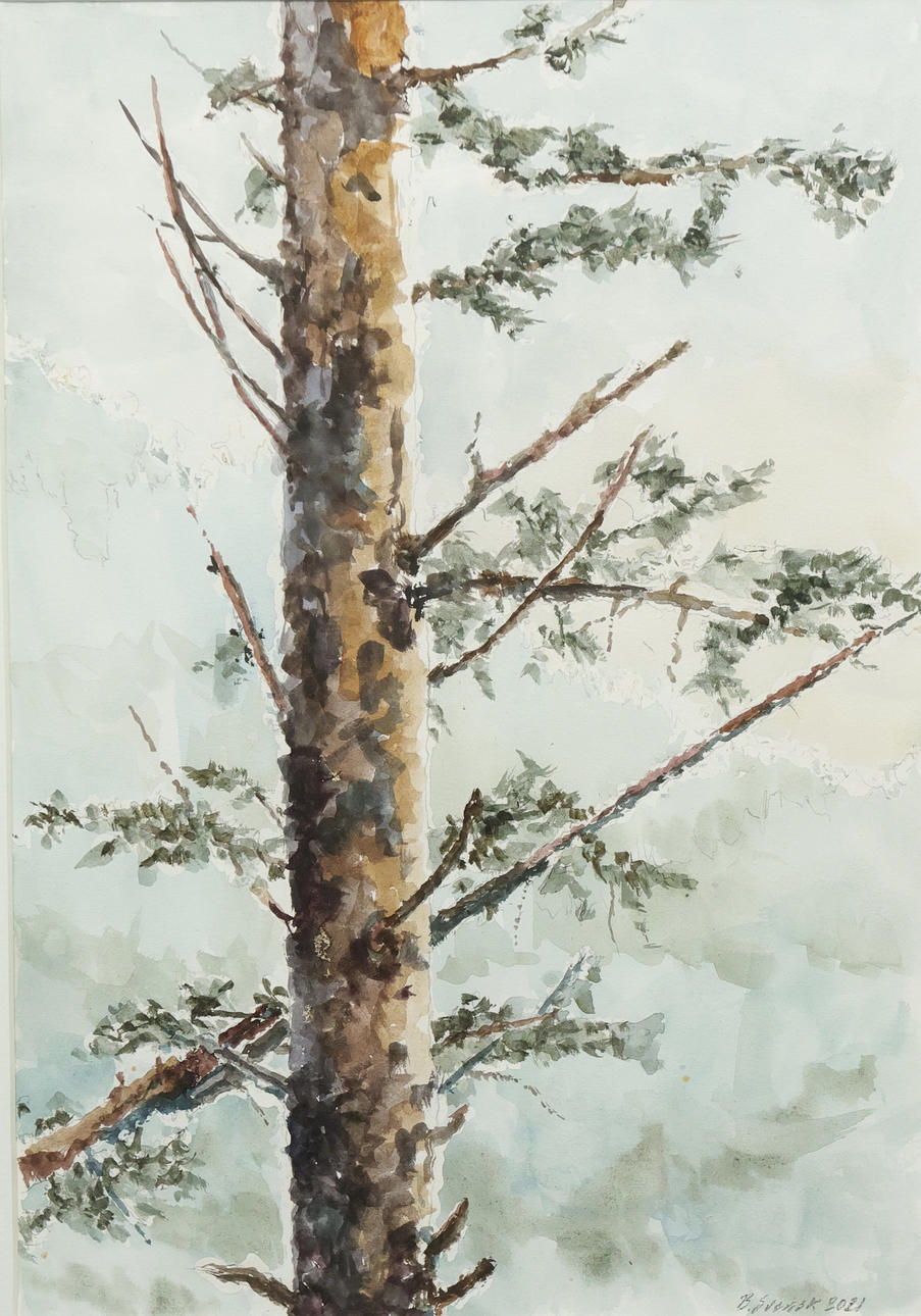 OIDENTIFIERAD KONSTNÄR. watercolor, signed B Svensk.