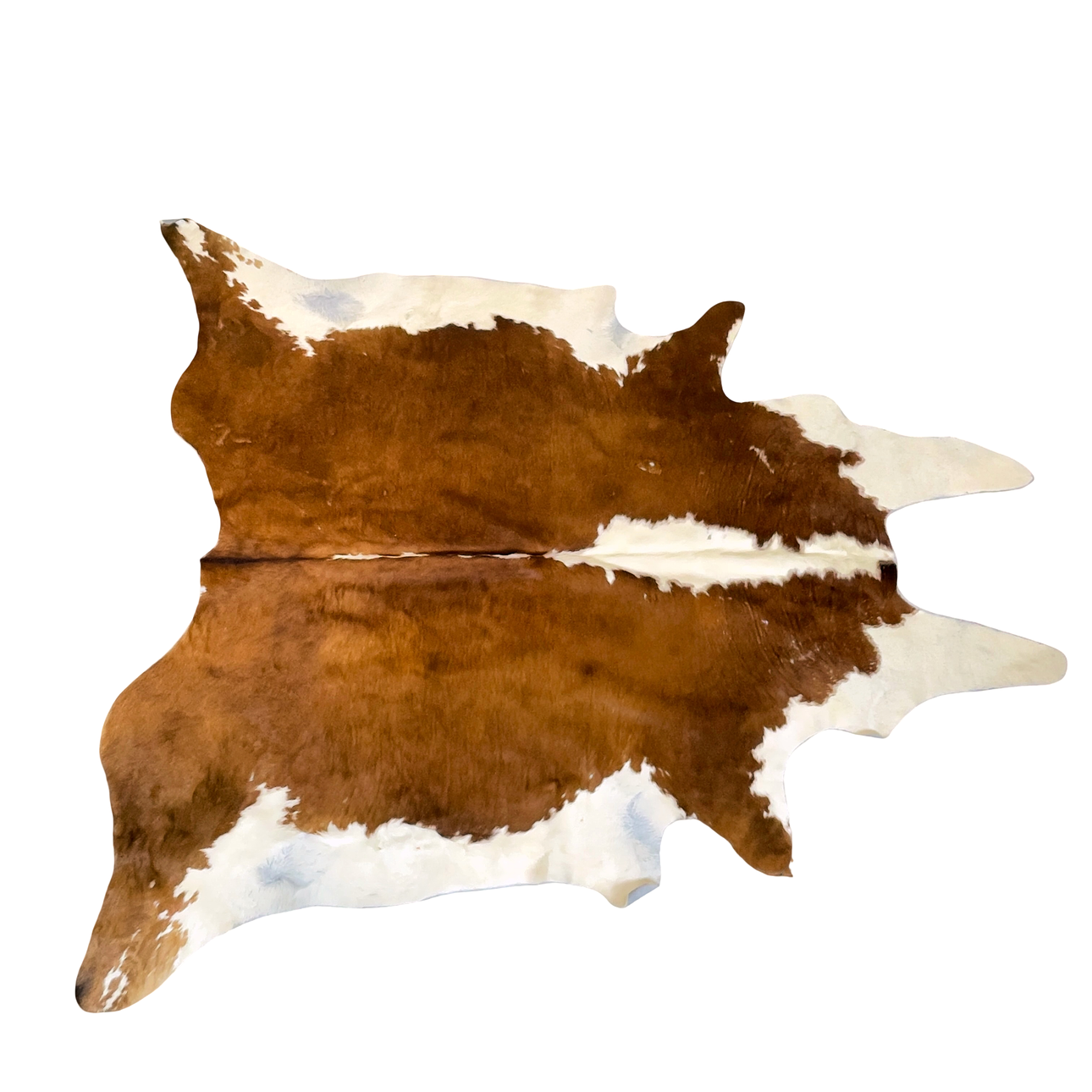 KOHUD, ca 215x255 cm.