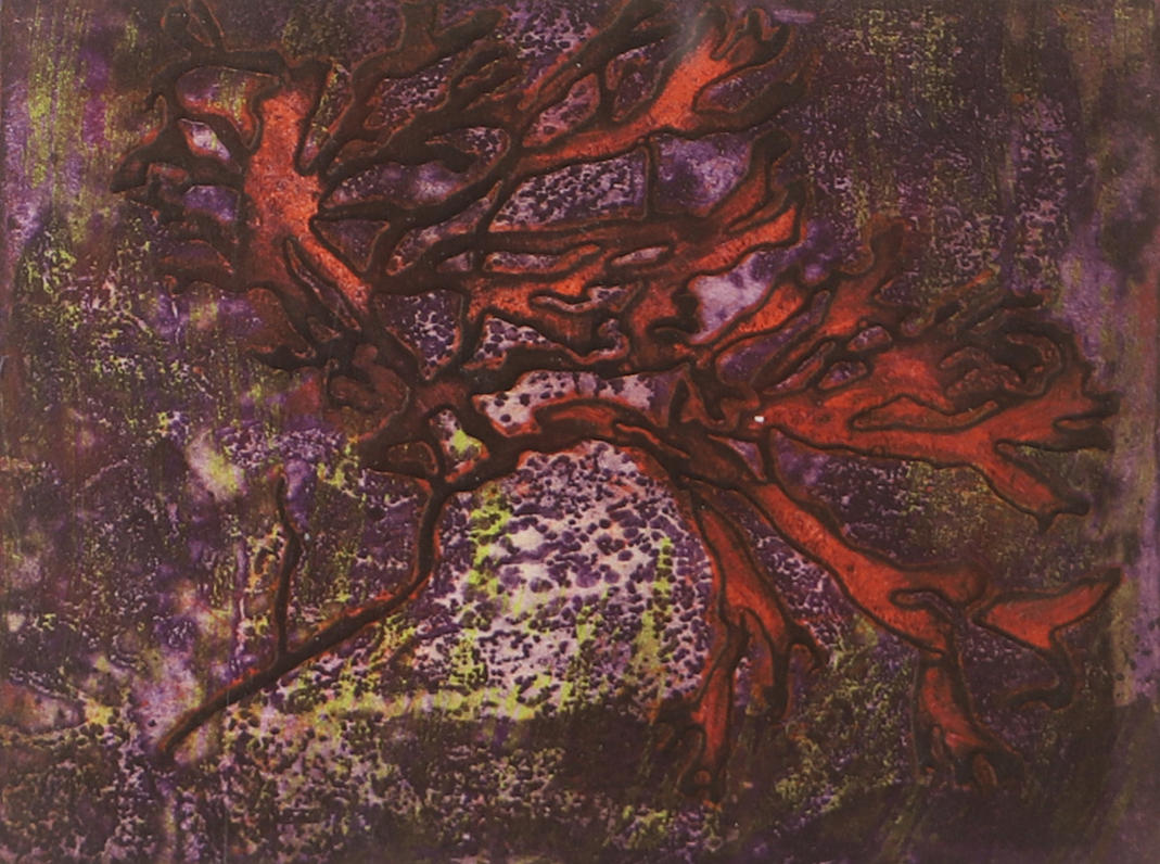 LEA AHMED. “Pliers”, etching, signed.