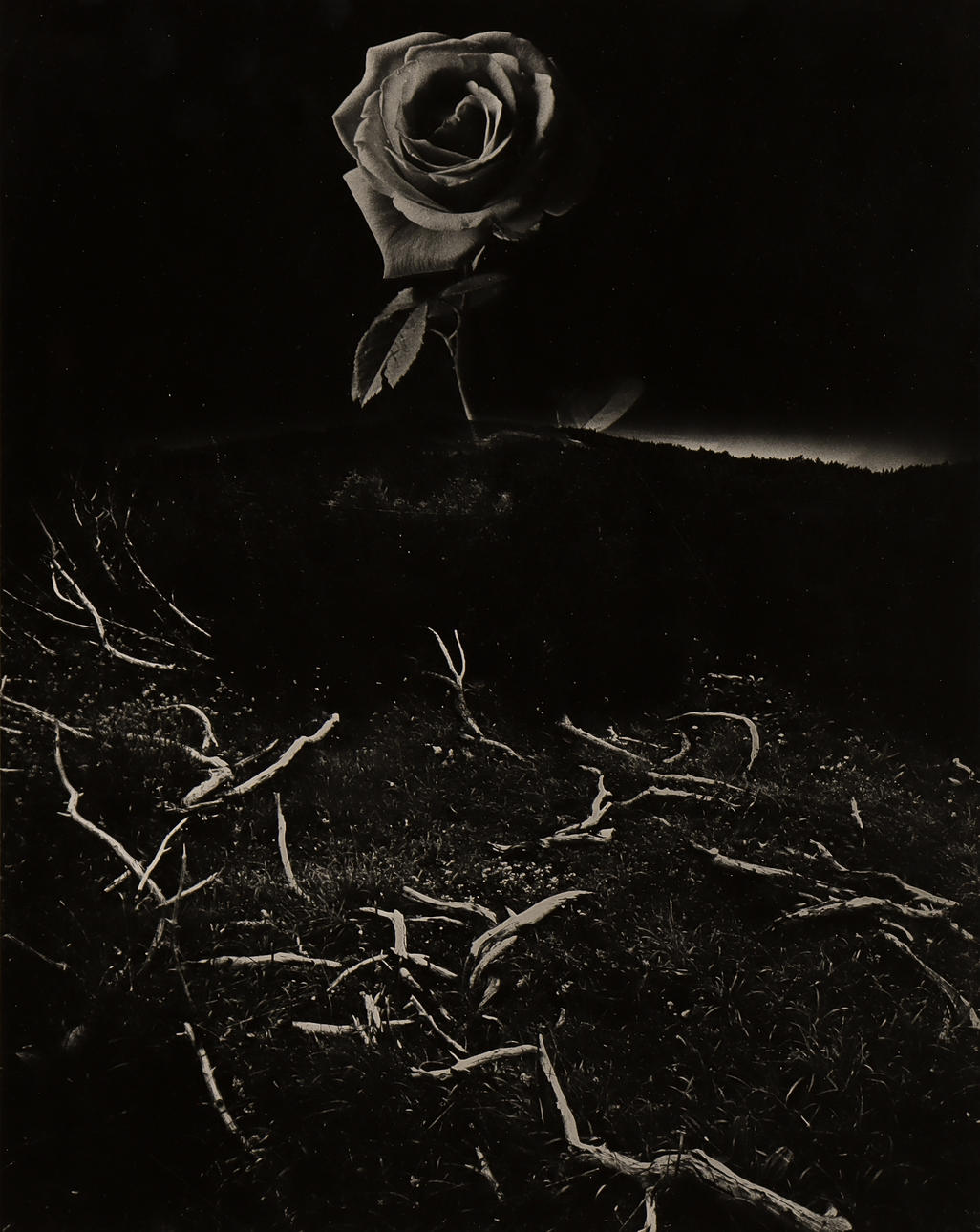 NILS-ERIK WIKEBÄCK. Composition with rose.