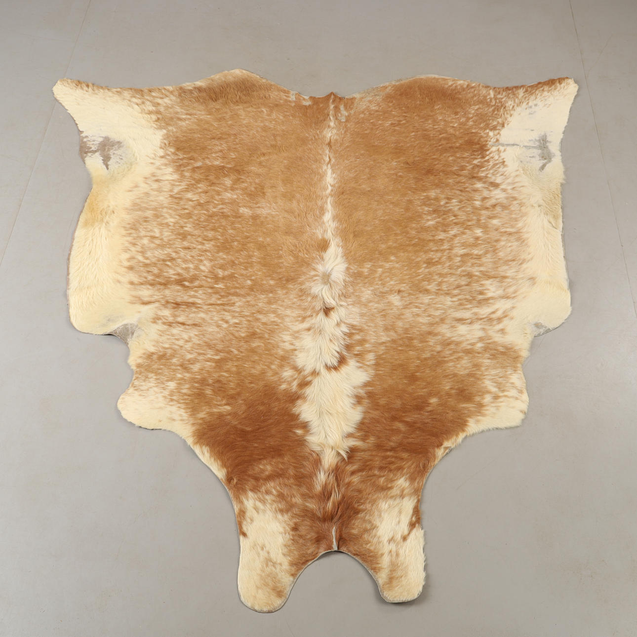 CARPET, cowhide, approx. 210 x 200 cm.