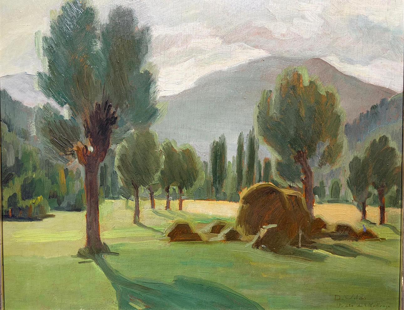 DARIUS VILÀS I FERNÀNDEZ. "Prats de Vilallonga".