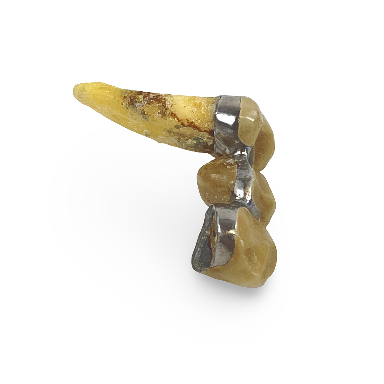 DENTAL PLATINUM, uncleaned.