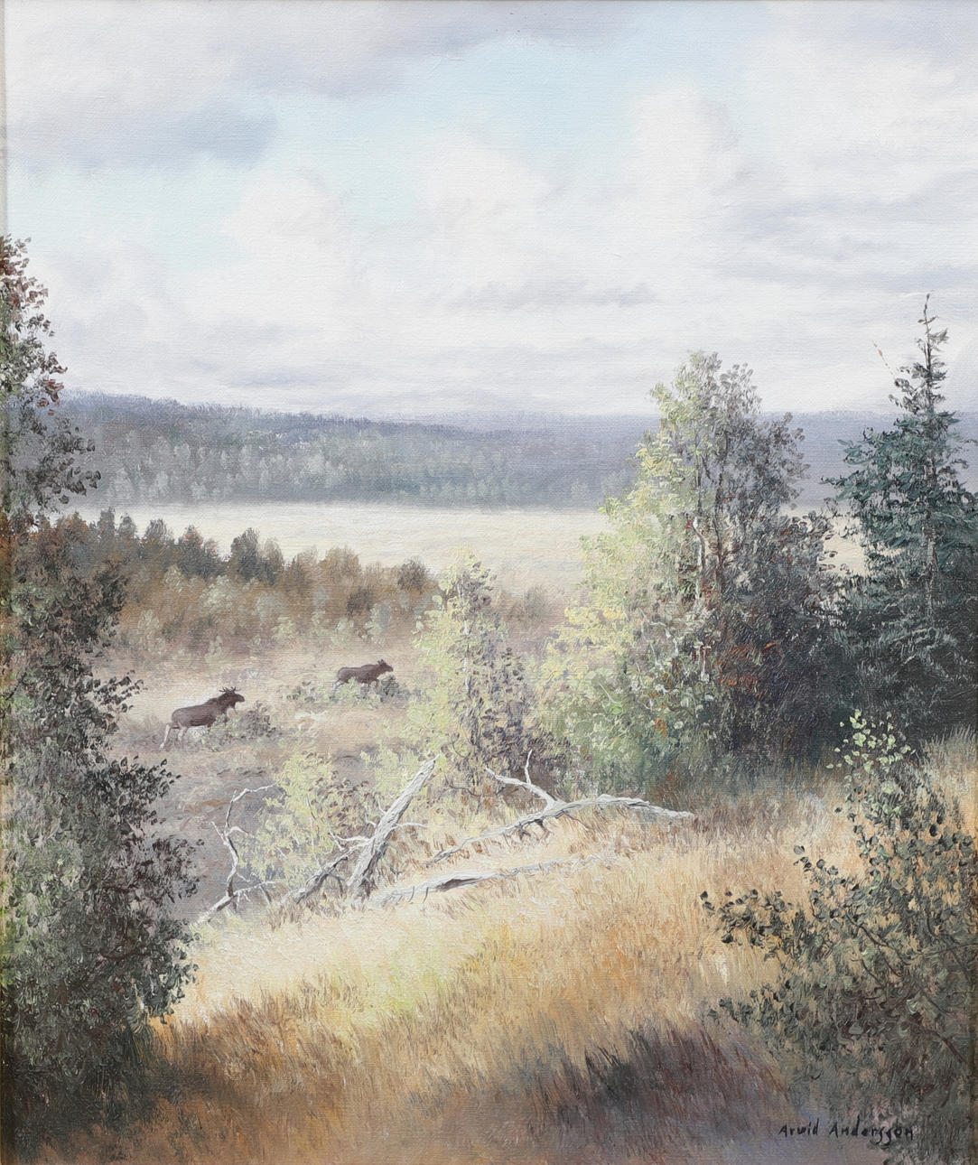 ARVID ANDERSSON. Moose, oil on canvas, signed.