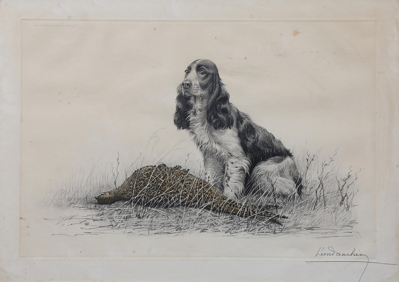 LEON DANCHIN. Spaniel.