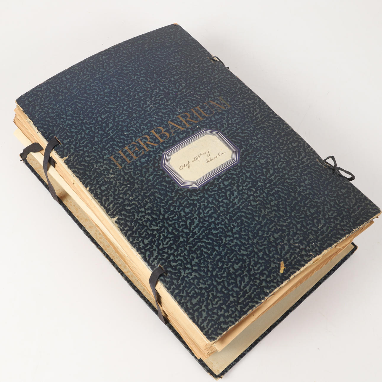 HERBARIUM, 1920-30s.