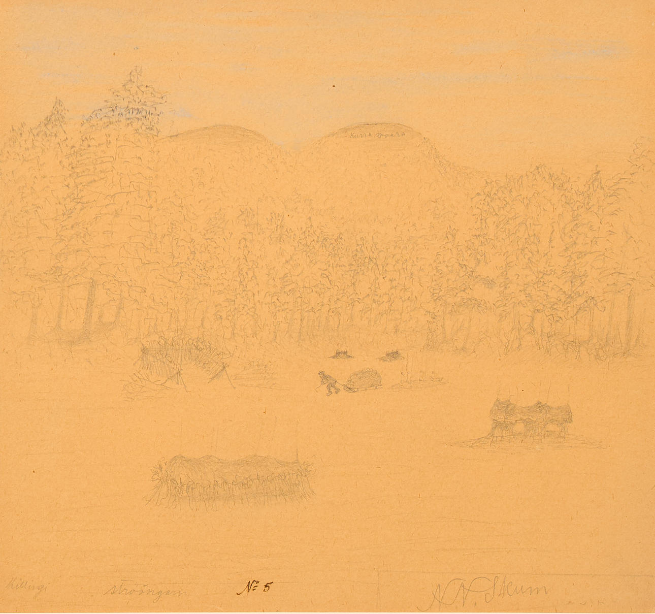 NILS NILSSON SKUM. “Kittingi”.