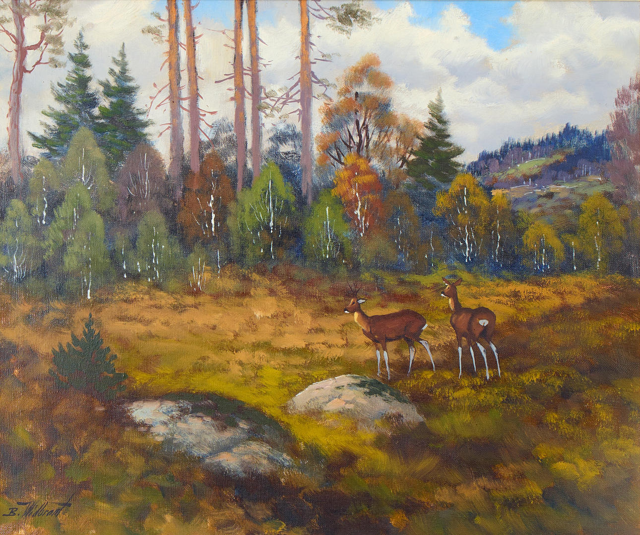 BERTIL WIDBRANDT. Deer in forest grove.