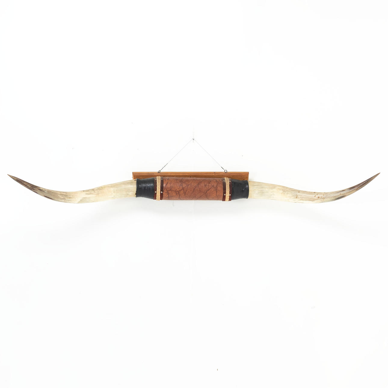 TROFE, horn from longhorn.