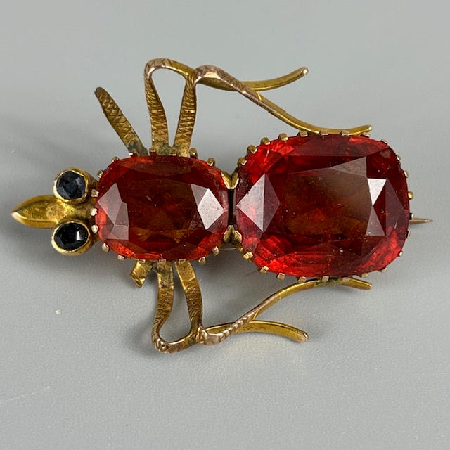 ANTIQUE GEM SET BUG BROOCH.