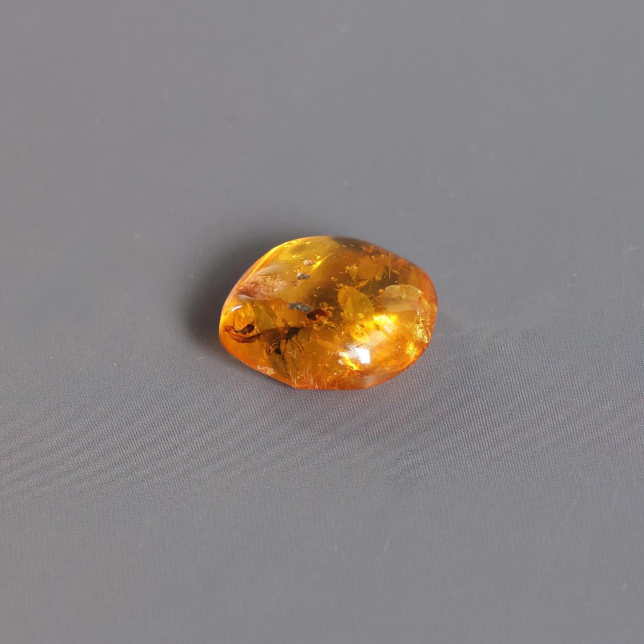 Polished amber with included insects.