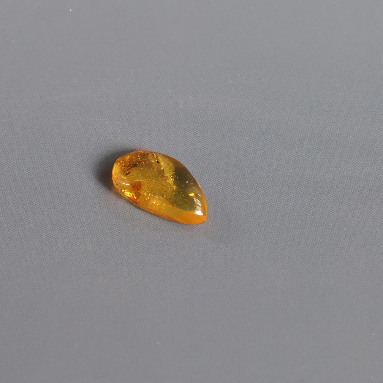 Polished amber with insect inclusions.