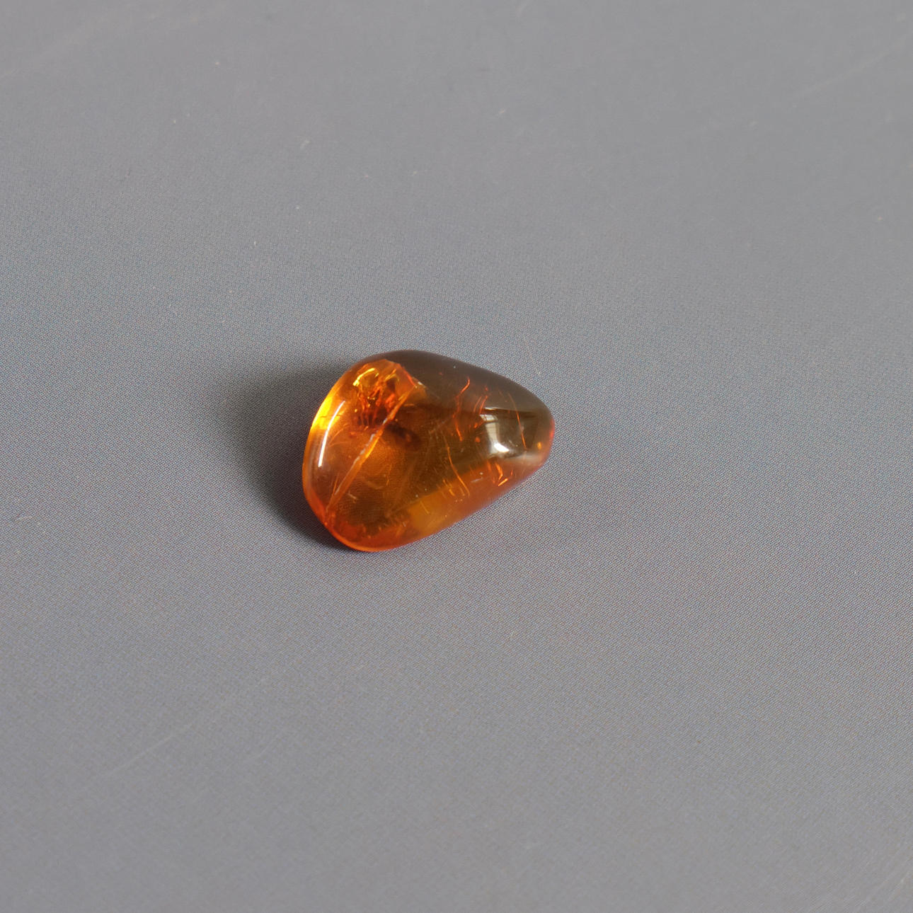 Polished amber with included insect.
