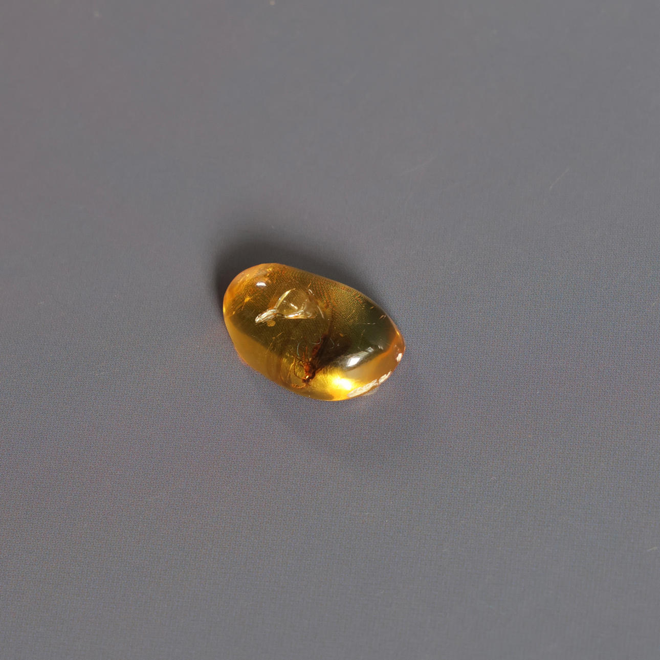 Polished amber with included insect.