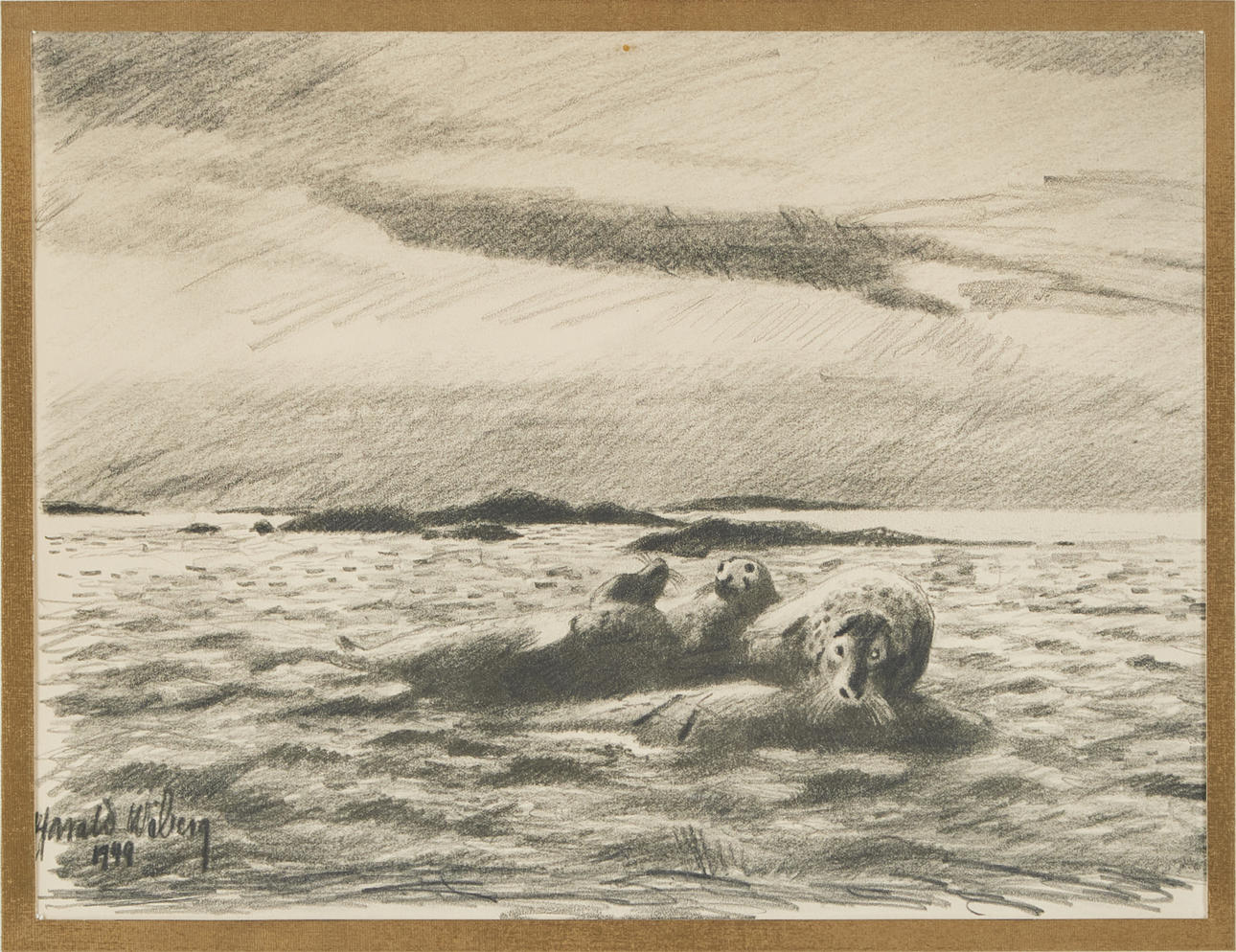 HARALD WIBERG. Grey seals, drawing, signed, dated 1944.